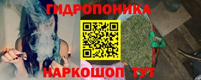 стаф Донской