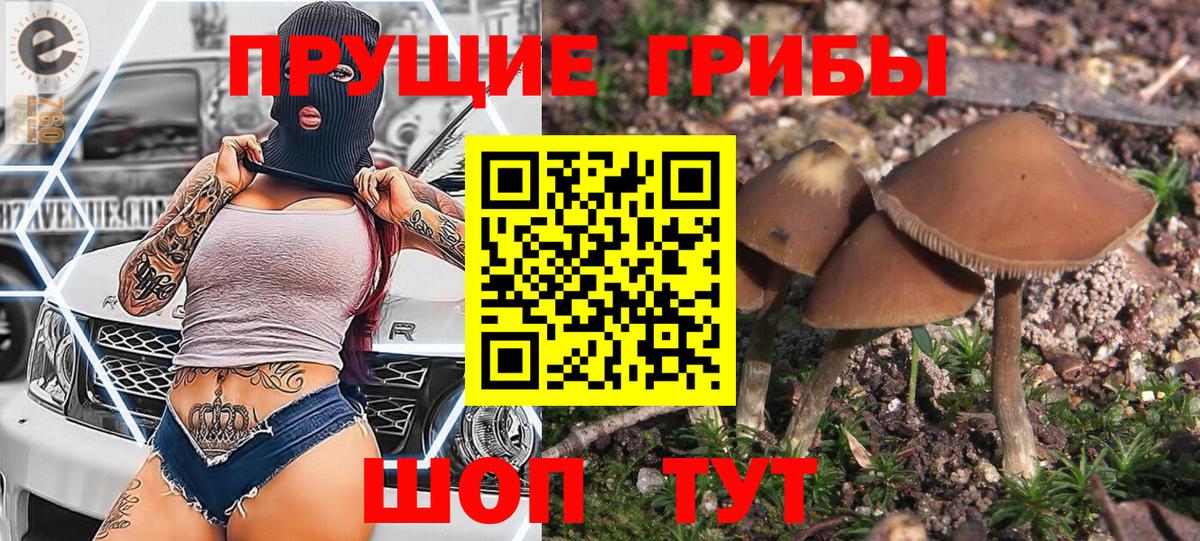 Псилоцибиновые грибы прущие грибы Кушва